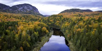 River passing through a forest in northern Quebec, the leaves are changing color