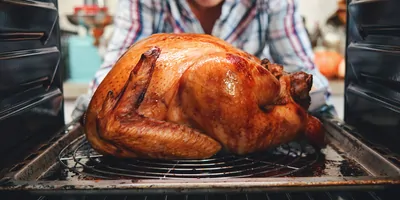 A cooked turkey being pulled from the oven