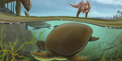 Illustration of softshell turtle with dinosaurs