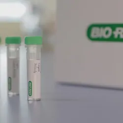 The antibodies in small tubes, laid out on a table