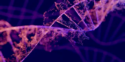 Purple strand of DNA, close up