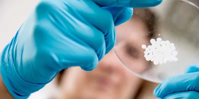Close-up of a Researcher Holding Scientific Sample.
