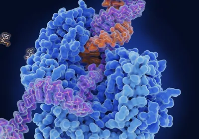 Watch the free webinar now to learn how the Typhoon™ laser scanner imager can help you achieve versatile biomolecular imaging and precise quantitation