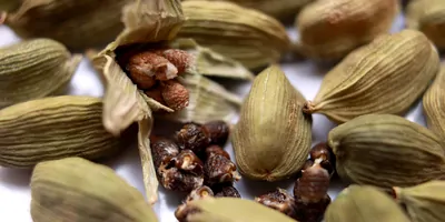 Cardamom on a white background