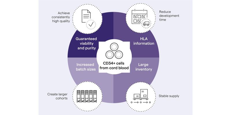 Expanded Stem Cell Offerings to Include HLA-Typed CD34+ Cell Lots
