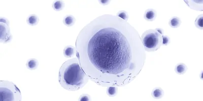 CGI of stem cells on a white background