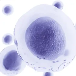 CGI of stem cells on a white background