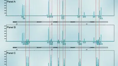 The Cell Line Identity Crisis