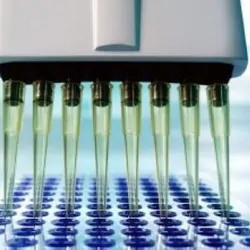 Micropipetter filling a sample tray
