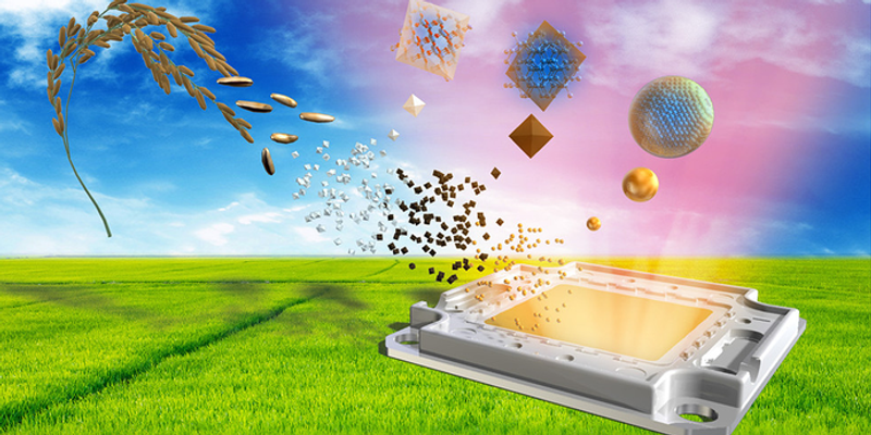 World’s First LED Lights Developed from Rice Husks | Lab Manager