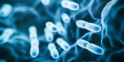 Computer image of gut bacteria, tinted blue