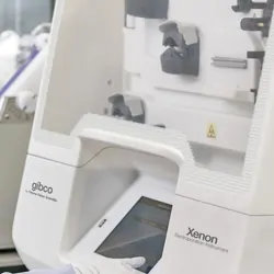 Female researcher using the Gibco CTS Xenon in a lab
