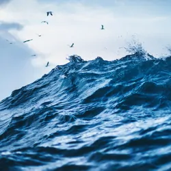 Ocean wave on a clear day