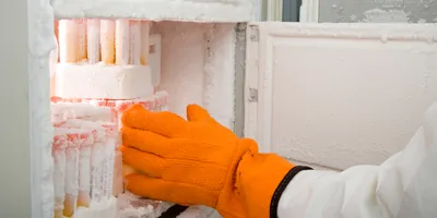 Lab technician places samples into an ultra-low temperature freezer.