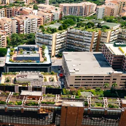 A sunny city with greenery on their rooftops