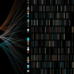 A large scale DNA sequencing graph