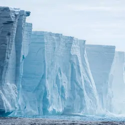 Ice cliff of antartica