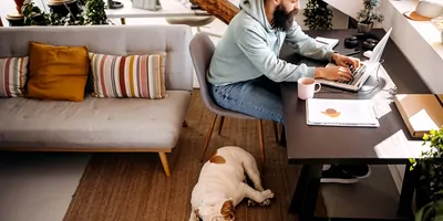 Man working from home with dog sleeping nearby