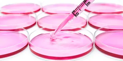 petri dish syringe cell culture resource guide ebook