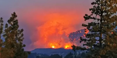 A forest fire in British Columbia