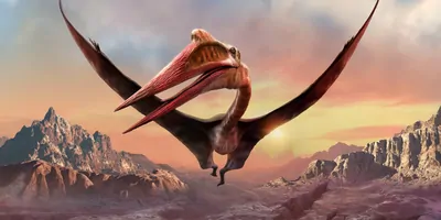 Artist rendering of a Quetzalcoatlus flying over mountains 