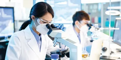 Two scientists examine samples under microscopes