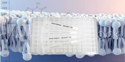 photo of a plastic microplate to do phospholipids testing