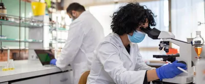Two scientists analyzing samples in a laboratory while working together in the laboratory stock photo (hero version).