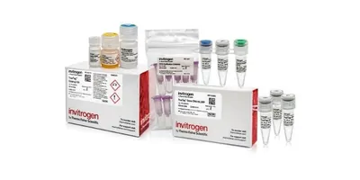 Truetag donor kits on a white background