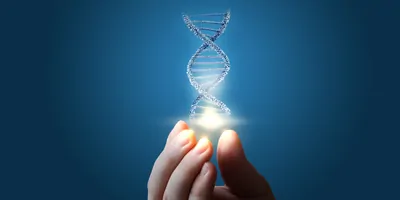 human hand holding a model of DNA on a blue background