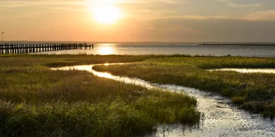 A coastal marsh land at sunset