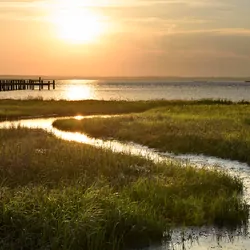 A coastal marsh land at sunset