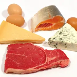 A variety of high protein foods on a white background