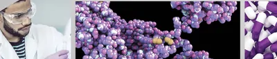 LC biopharma environmental food and beverage compendium