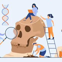 Tiny anthropologists studying Neanderthal skull flat vector illustration