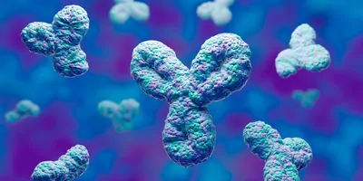 Human antibodies, immunoglobulin proteins, Immune system. 3D rendering