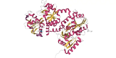 a cartoon depiction of recombinant proteins 