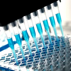 Robotic multichannel pipette device portions out blue fluid