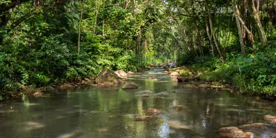 River in Waimea Valley on Oahu island