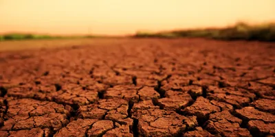 Dried mars surface