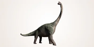 huge dinosaur, 3d illustration isolated on white background
