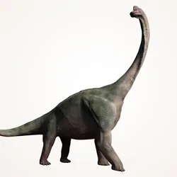 huge dinosaur, 3d illustration isolated on white background