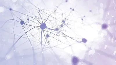 Probing Neurological Diseases with Stem Cells