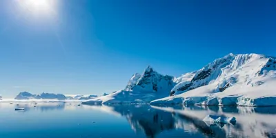 Beautiful afternoon at Paradise Bay, Antarctica Peninsula