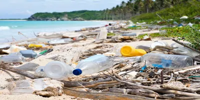 Pollution on a beach