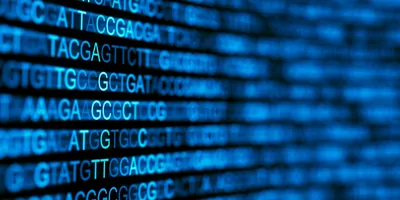 Screen showing DNA sequence