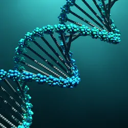 3d illustration DNA molecules
