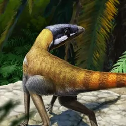 Life reconstruction of Scleromochlus