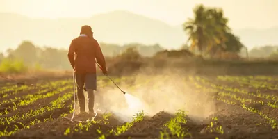 A farmer spraying their crops in the morning