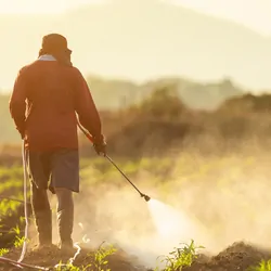 A farmer spraying their crops in the morning